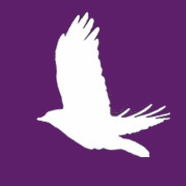 Declaration On Women S Sex Based Rights Women S Human Rights Campaign