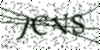 If you cannot read this image, please contact us at info@womensdeclaration.com.