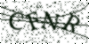 If you cannot read this image, please contact us at info@womensdeclaration.com.