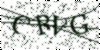 If you cannot read this image, please contact us at info@womensdeclaration.com.