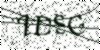 If you cannot read this image, please contact us at info@womensdeclaration.com.