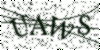 If you cannot read this image, please contact us at info@womensdeclaration.com.