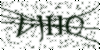 If you cannot read this image, please contact us at info@womensdeclaration.com.
