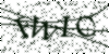 If you cannot read this image, please contact us at info@womensdeclaration.com.