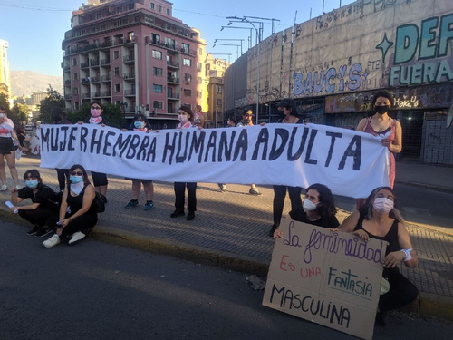 Chilean feminists